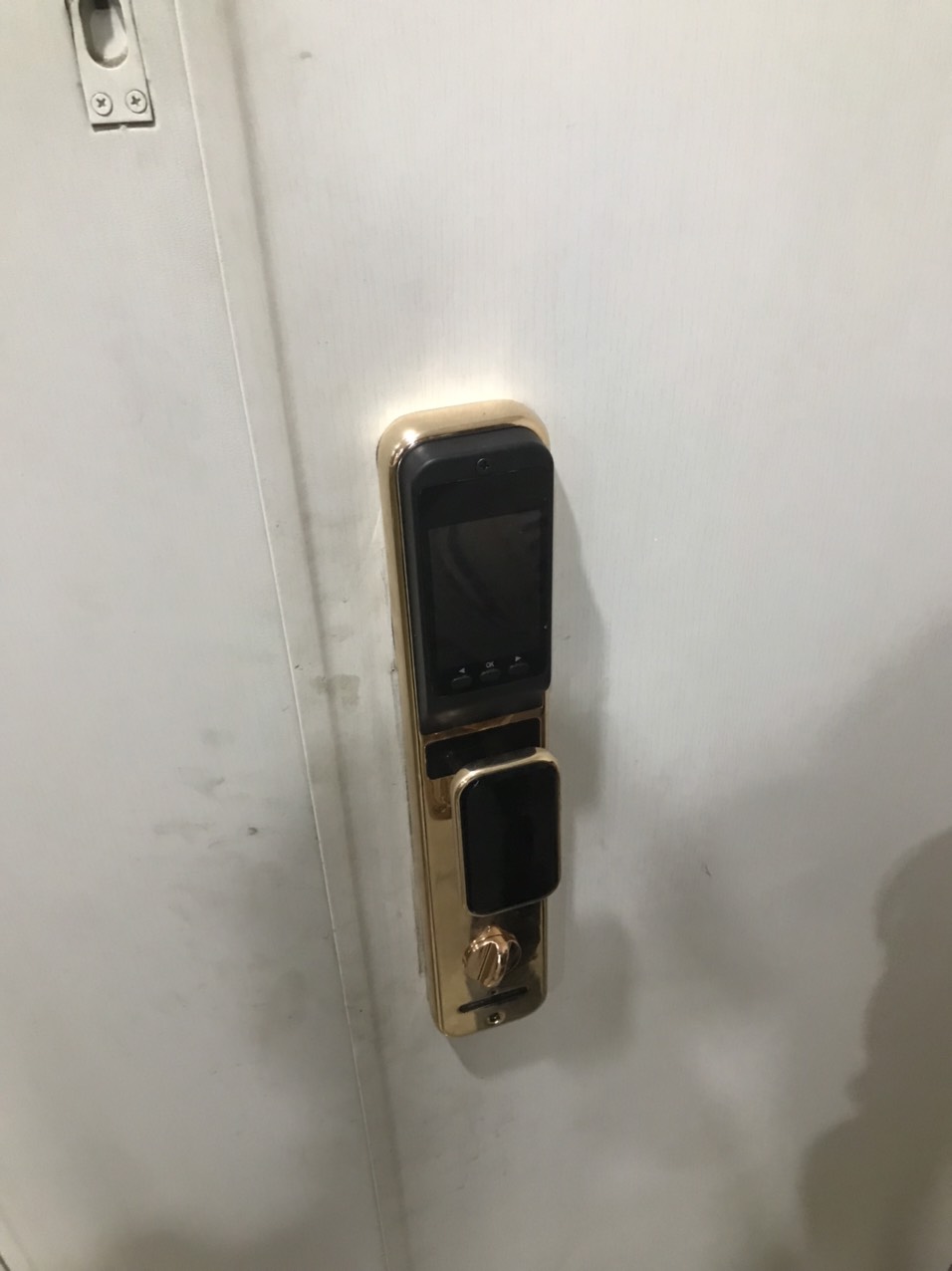 Lắp đặt khóa cửa 5 chức năng Raamos Ca-02 tại Hà Nội
